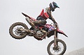 _ROB3494 (Copy)